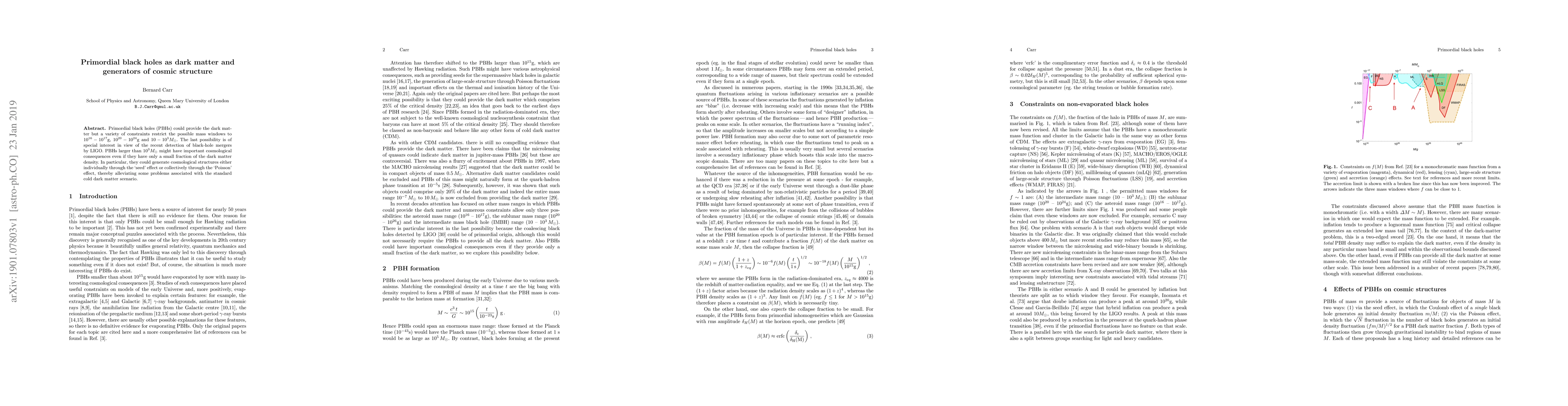 Thumbnail for Primordial black holes as dark matter and generators of cosmic structure