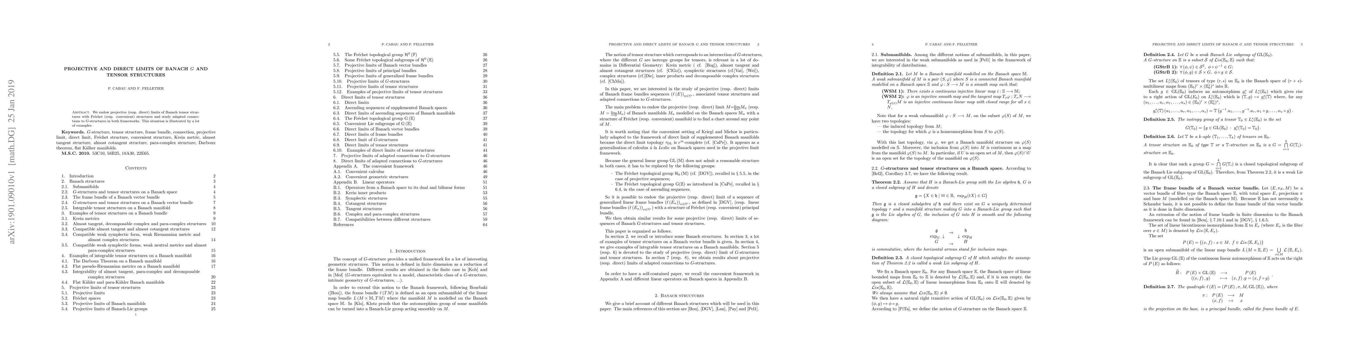 Thumbnail for Projective and Direct limits of Banach $G$ and tensor structures