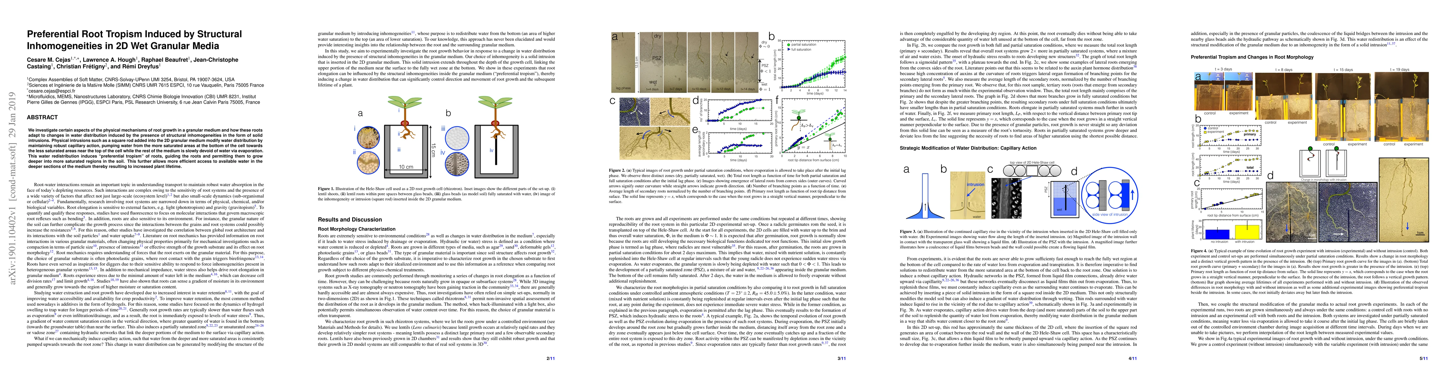 Thumbnail for Preferential Root Tropism Induced by Structural Inhomogeneities in 2D
  Wet Granular Media