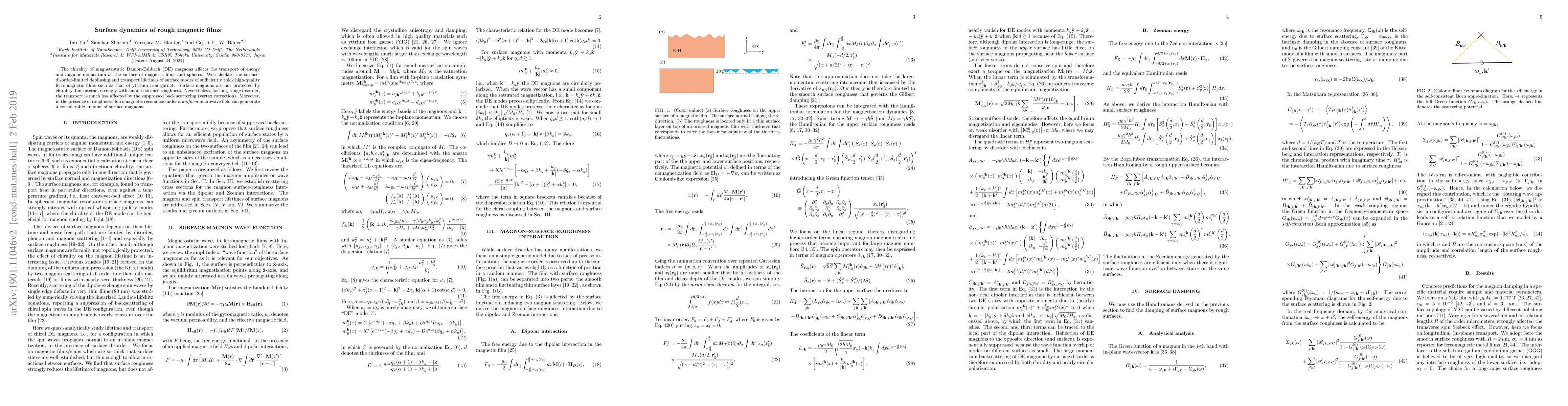Thumbnail for Surface dynamics of rough magnetic films