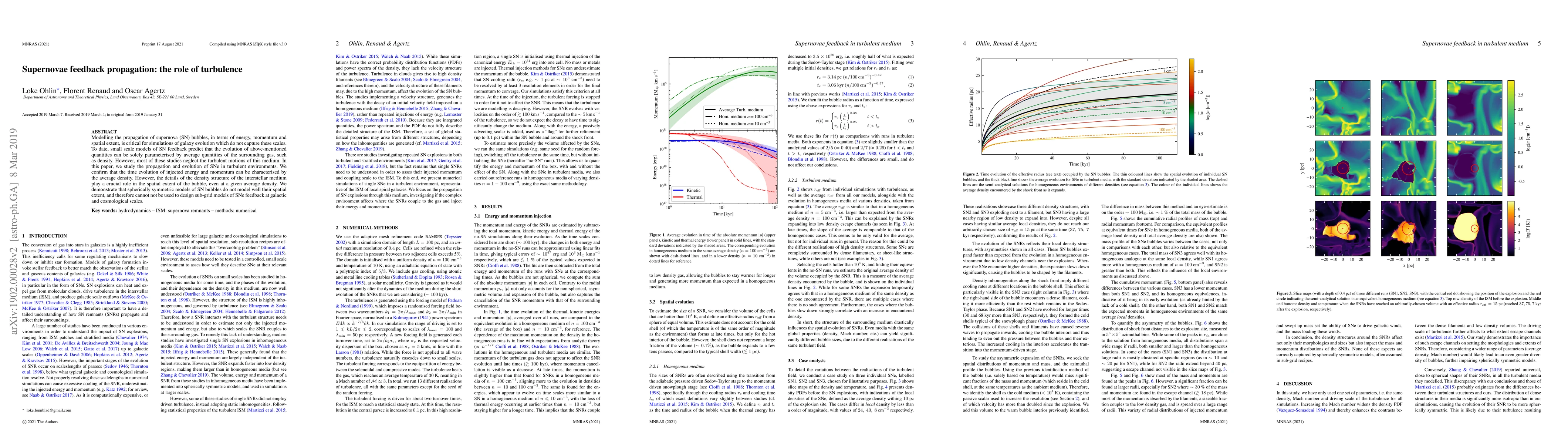 Thumbnail for Supernovae feedback propagation: the role of turbulence