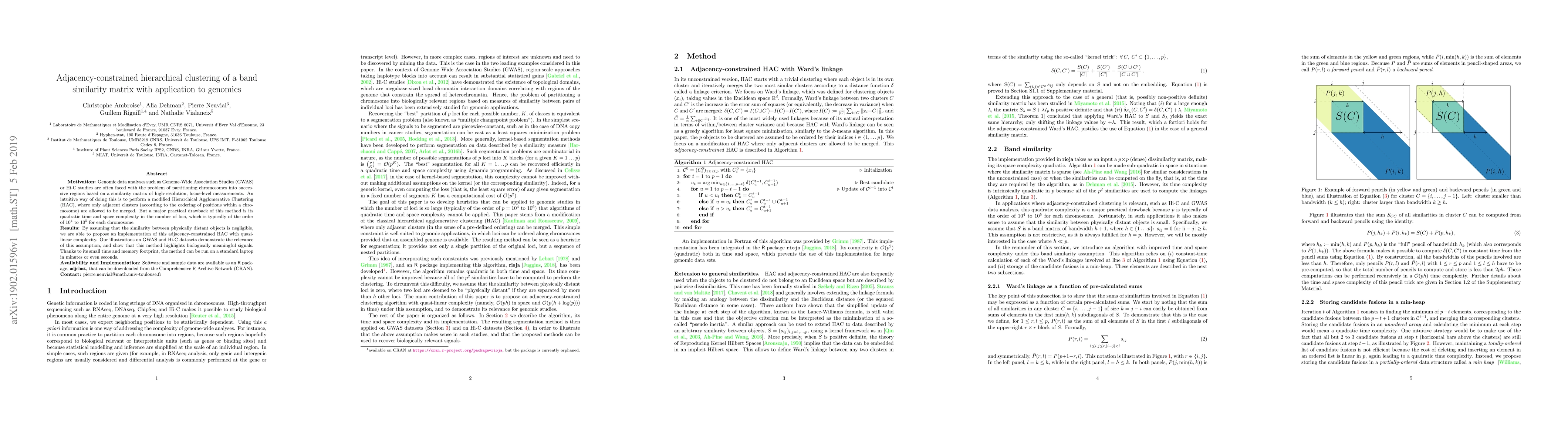Thumbnail for Adjacency-constrained hierarchical clustering of a band similarity
  matrix with application to Genomics