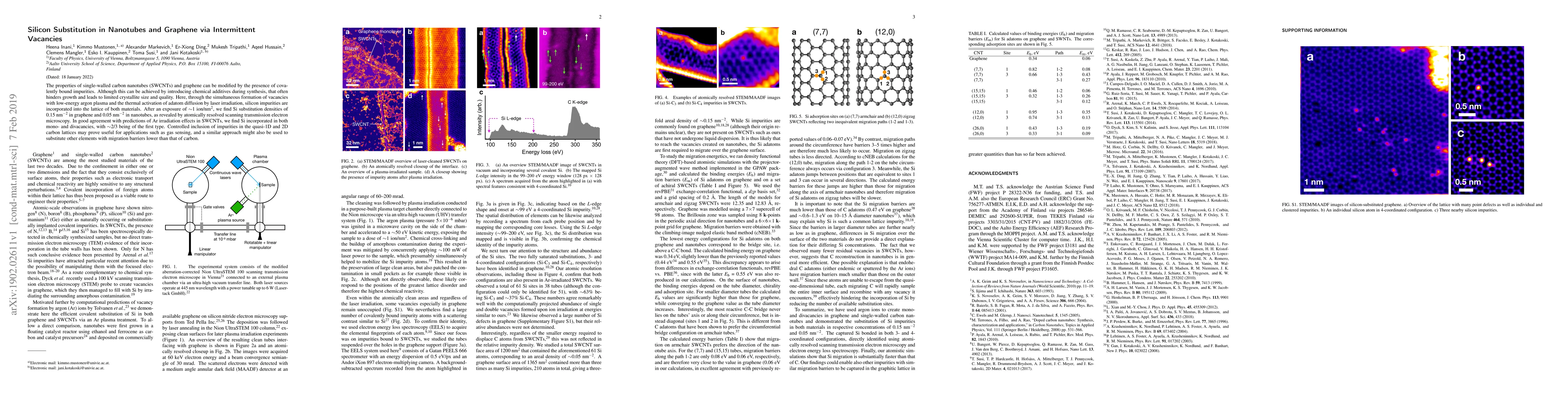 Thumbnail for Si Substitution in Nanotubes and Graphene via Intermittent Vacancies