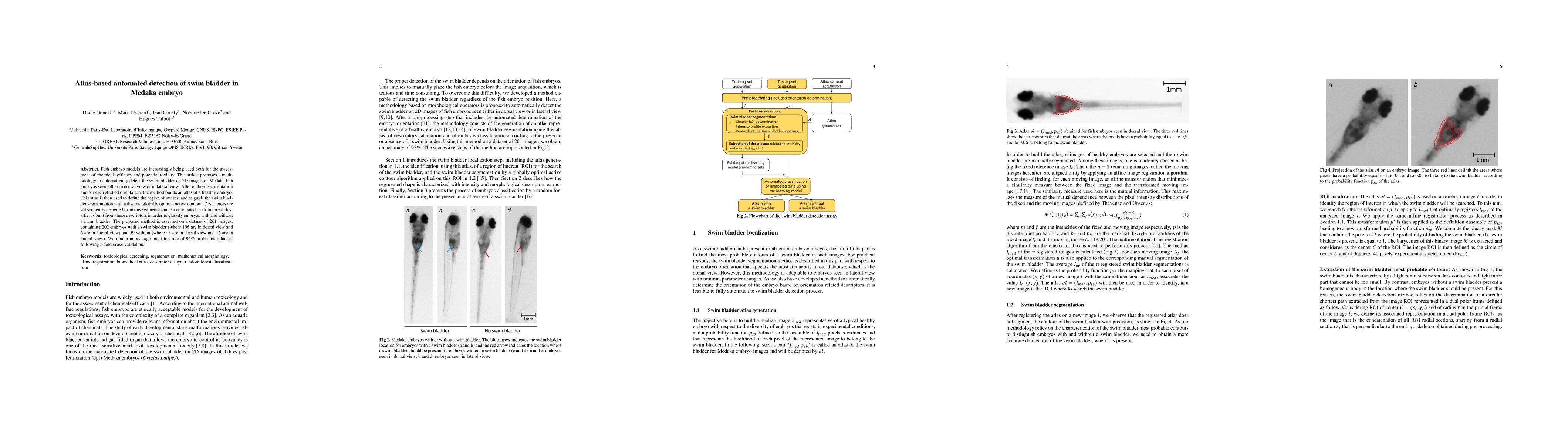 Thumbnail for Atlas-based automated detection of swim bladder in Medaka embryo