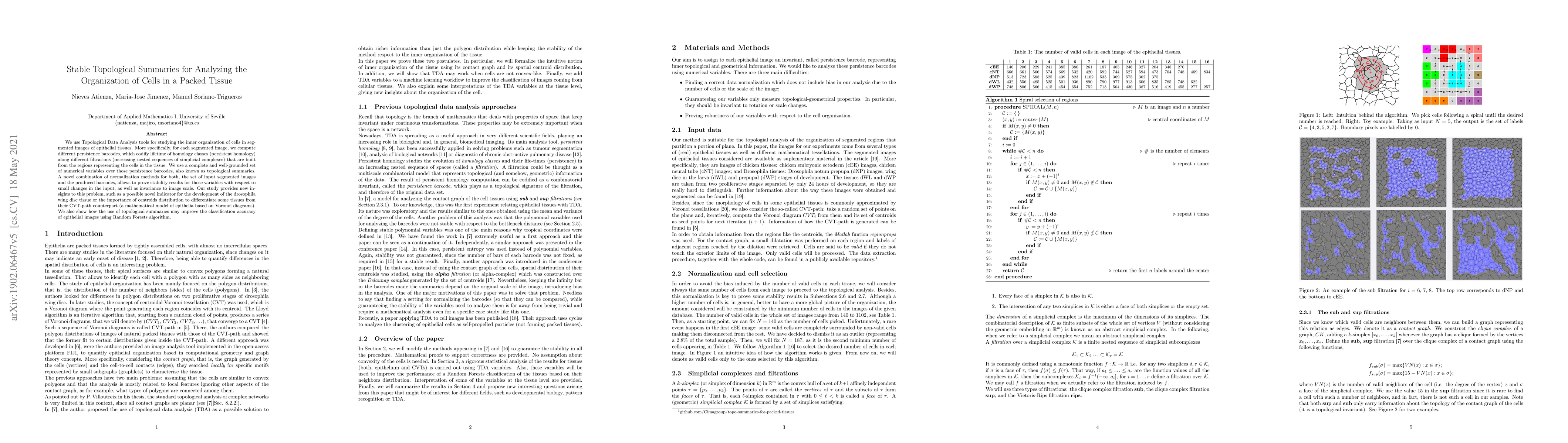 Thumbnail for Stable Topological Summaries for Analyzing the Organization of Cells in
  a Packed Tissue