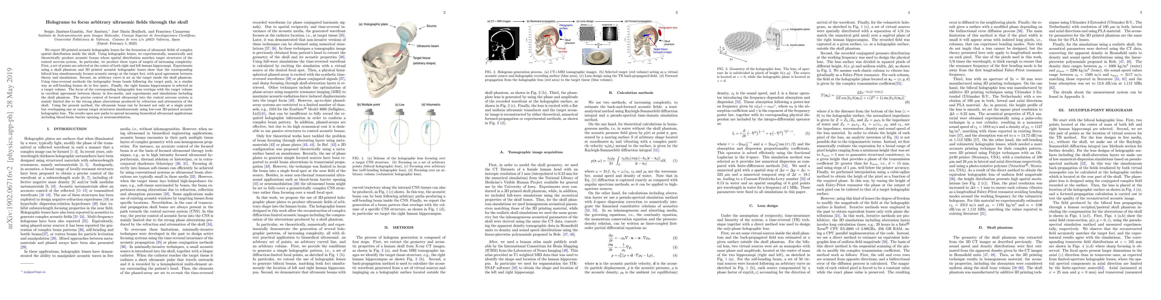 Thumbnail for Holograms to focus arbitrary ultrasonic fields through the skull