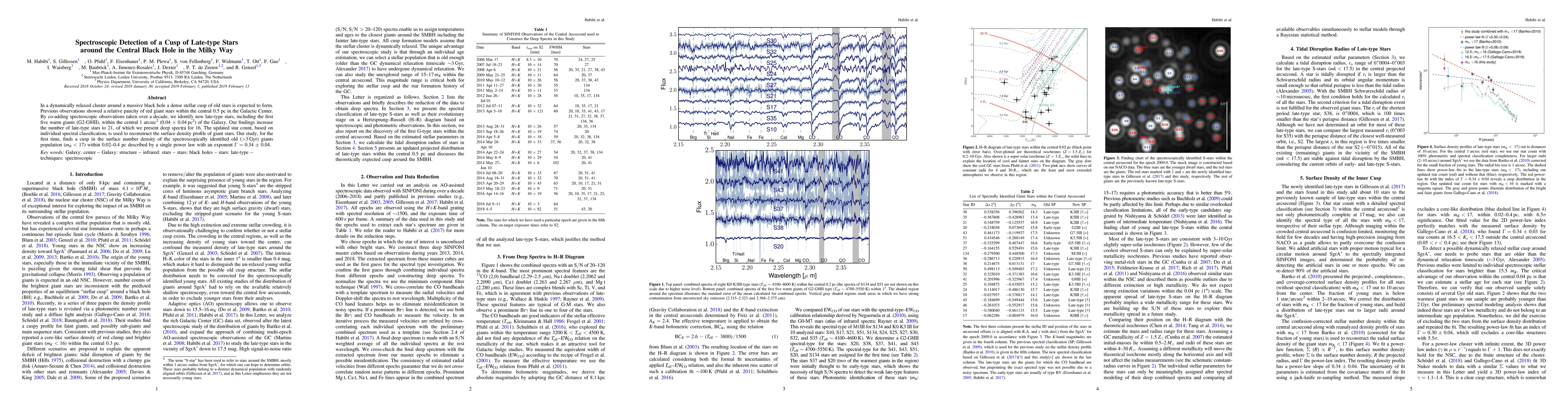 Thumbnail for Spectroscopic Detection of a Cusp of Late-type Stars around the Central
  Black Hole in the Milky Way
