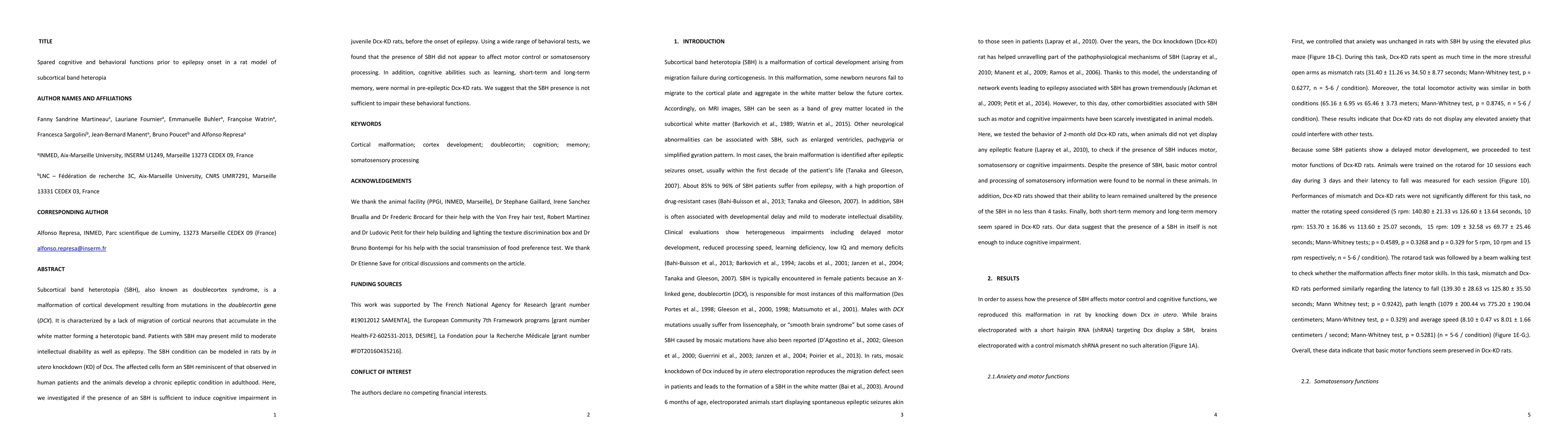 Thumbnail for Spared cognitive and behavioral functions prior to epilepsy onset in a
  rat model of 2 subcortical band heteropia
