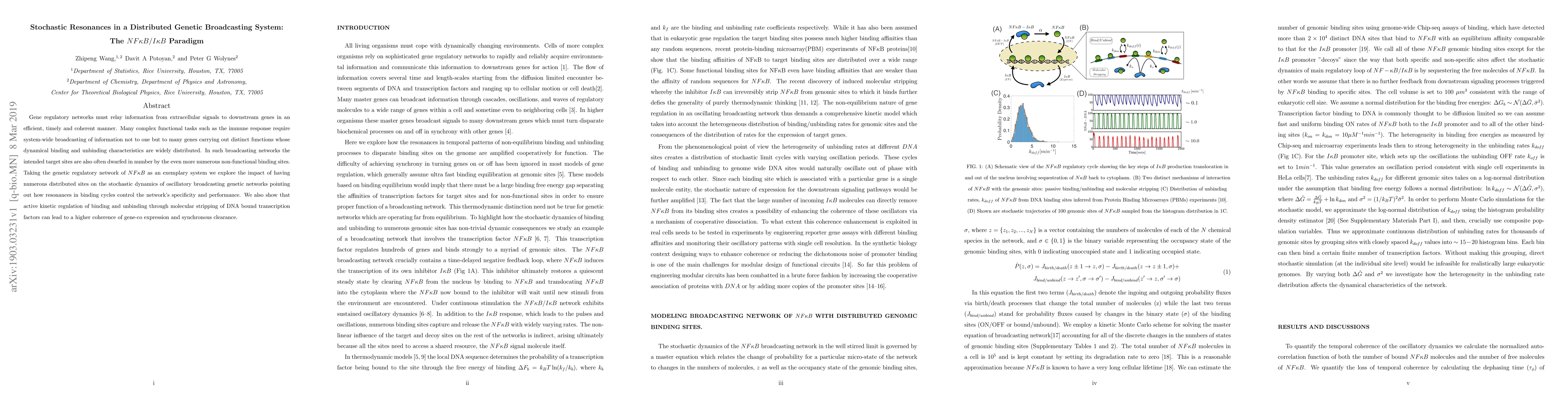 Thumbnail for Stochastic resonances in a distributed genetic broadcasting system: the
  NF\k{appa}B/I\k{appa}B paradigm