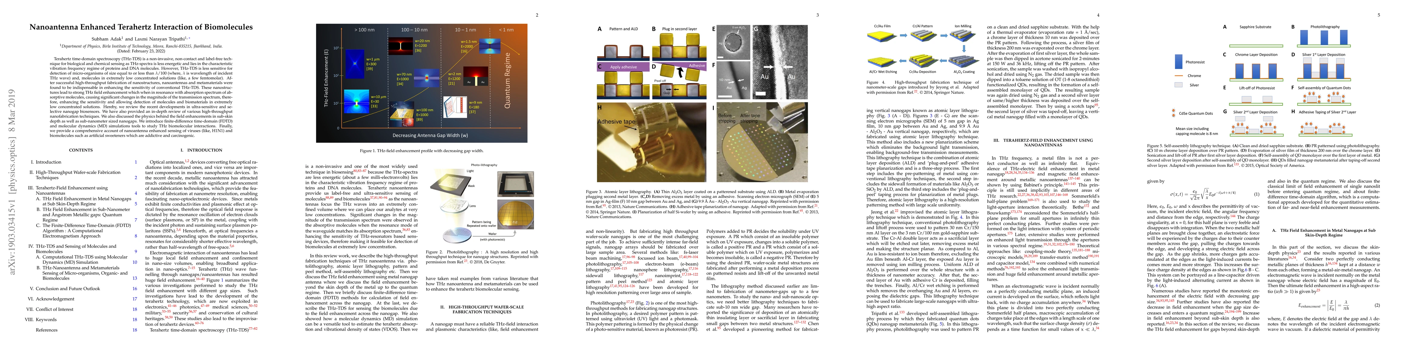 Thumbnail for Nanoantenna Enhanced Terahertz Interaction of Biomolecules
