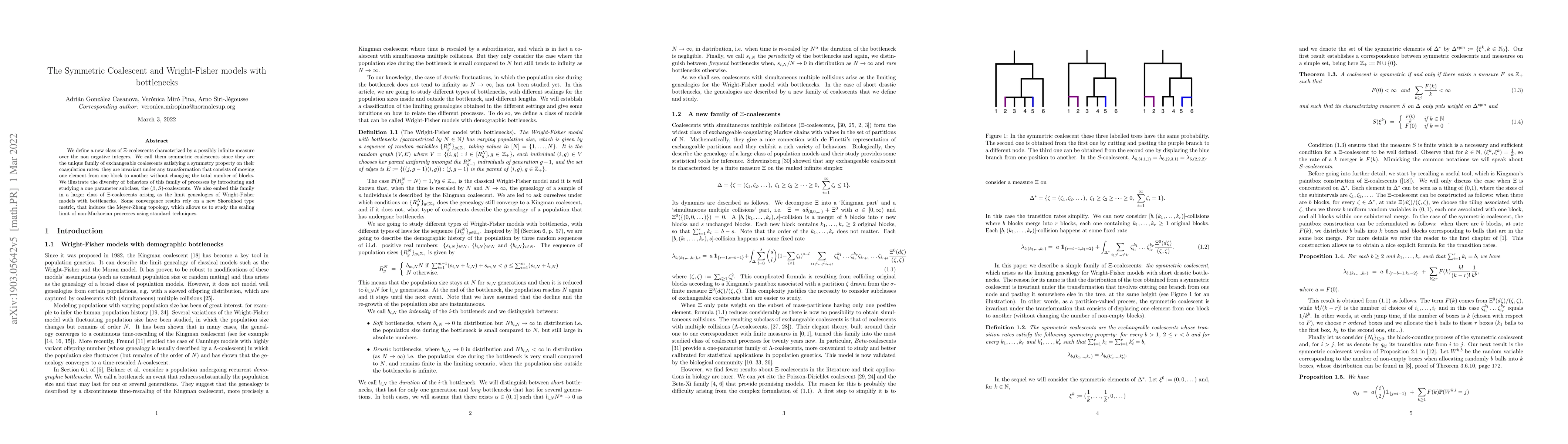 Thumbnail for The Symmetric Coalescent and Wright-Fisher models with bottlenecks