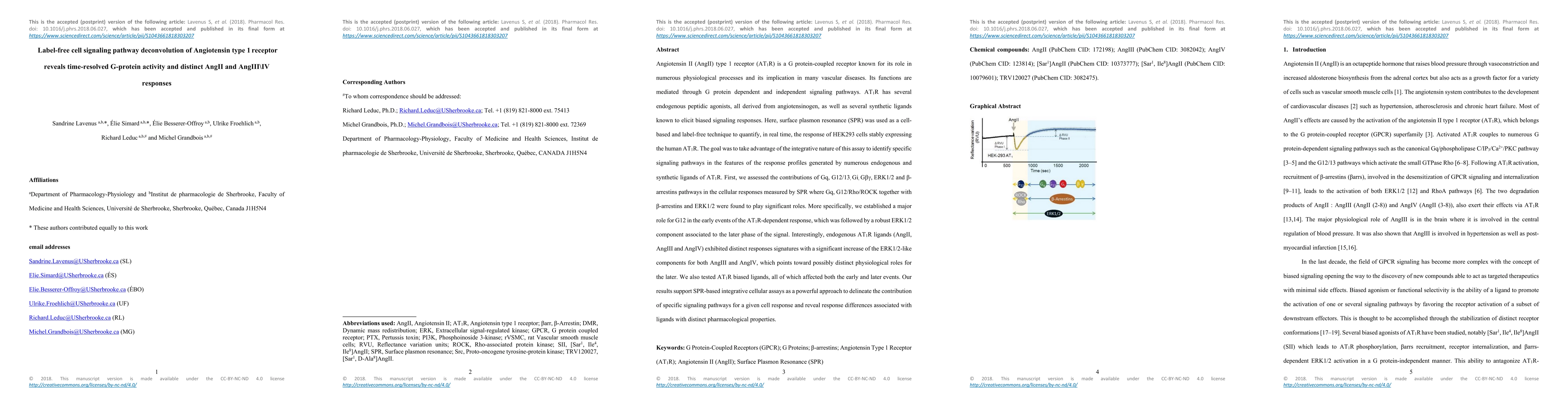 Thumbnail for Label-free cell signaling pathway deconvolution of Angiotensin type 1
  receptor reveals time-resolved G-protein activity and distinct AngII and
  AngIII\IV responses