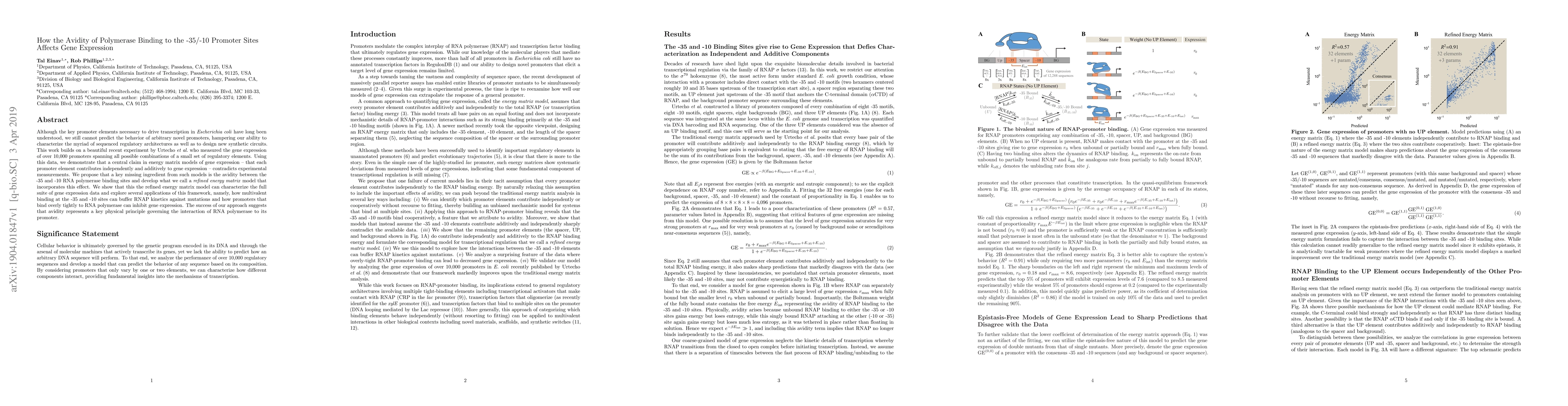Thumbnail for How the Avidity of Polymerase Binding to the -35/-10 Promoter Sites
  Affects Gene Expression