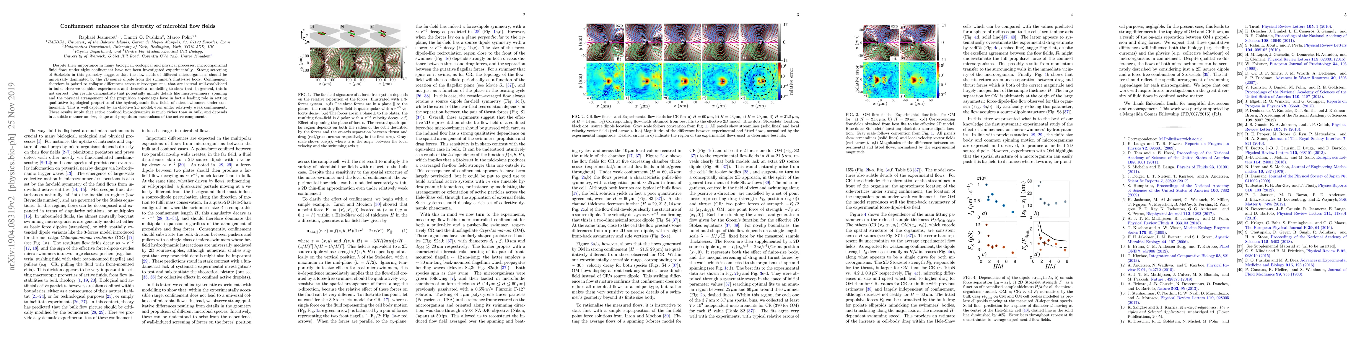 Thumbnail for Confinement enhances the diversity of microbial flow fields