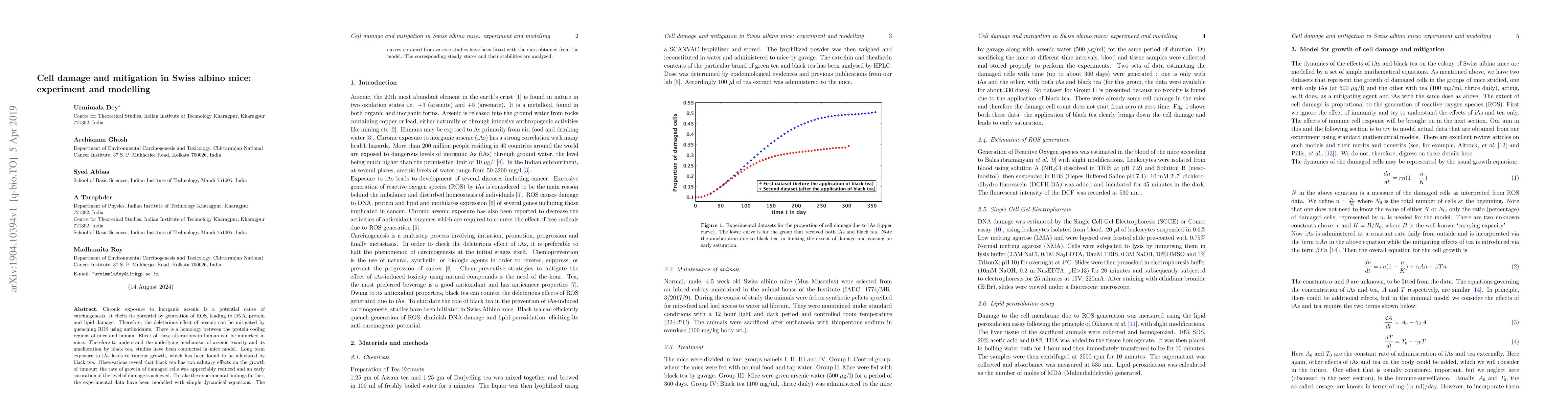 Thumbnail for Cell damage and mitigation in Swiss albino mice: experiment and
  modelling