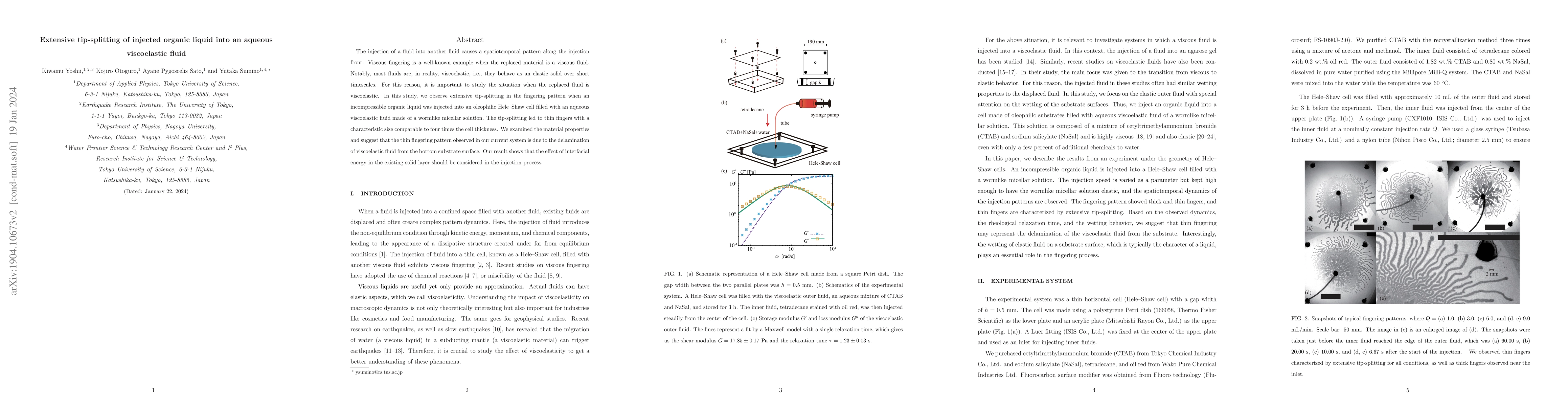 Thumbnail for Extensive tip-splitting of injected organic liquid into an aqueous
  viscoelastic fluid