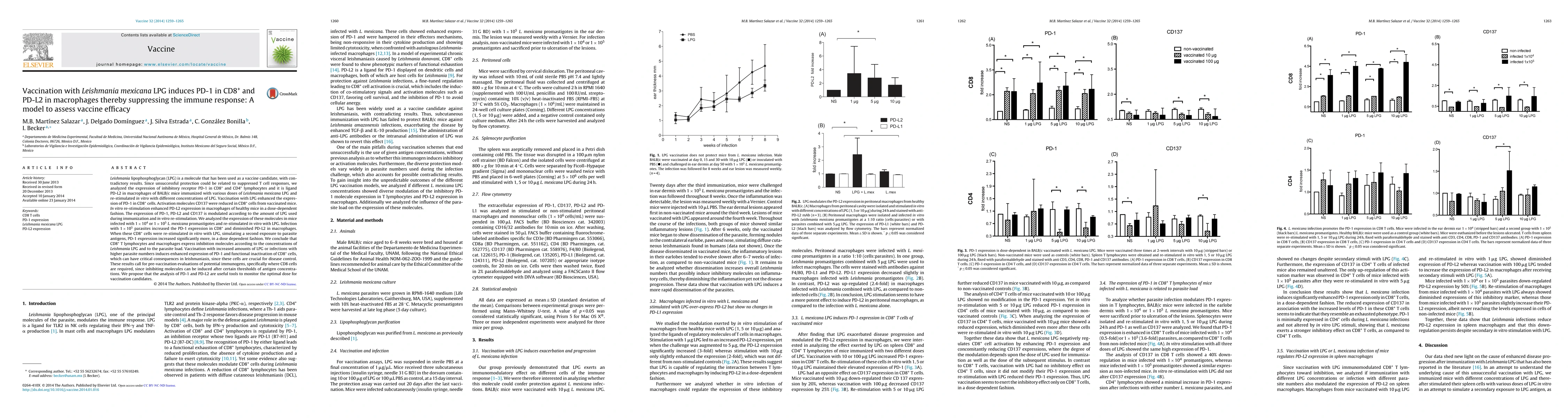 Thumbnail for Vaccination with Leishmania mexicana LPG induces PD-1 in CD8+ and PD-L2
  in macrophages thereby suppressing the immune response: A model to assess
  vaccine efficacy