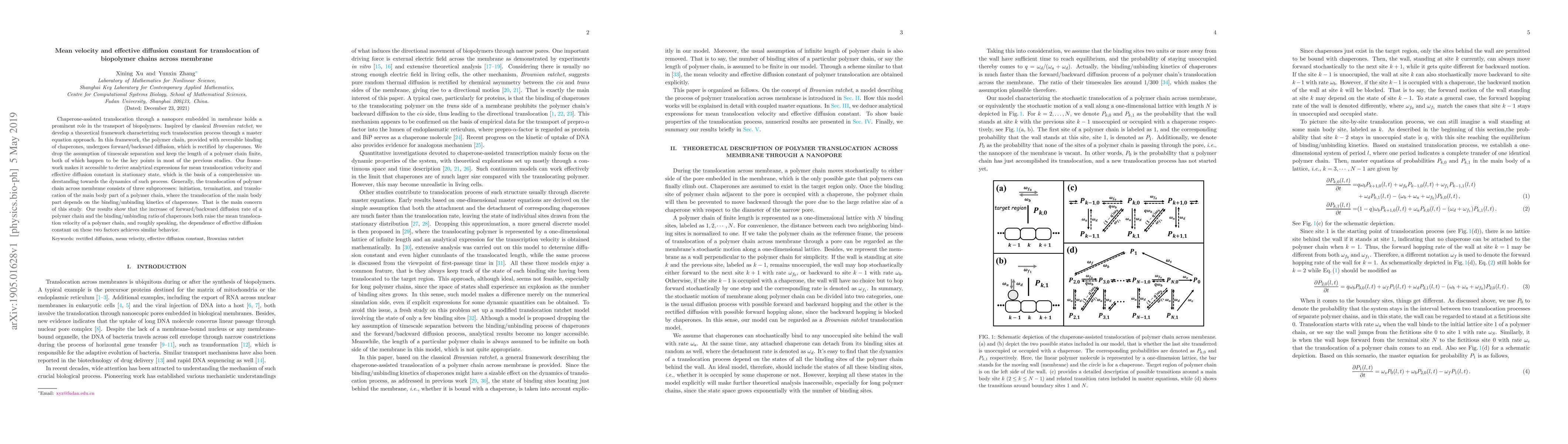 Thumbnail for Mean velocity and effective diffusion constant for translocation of
  biopolymer chains across membrane