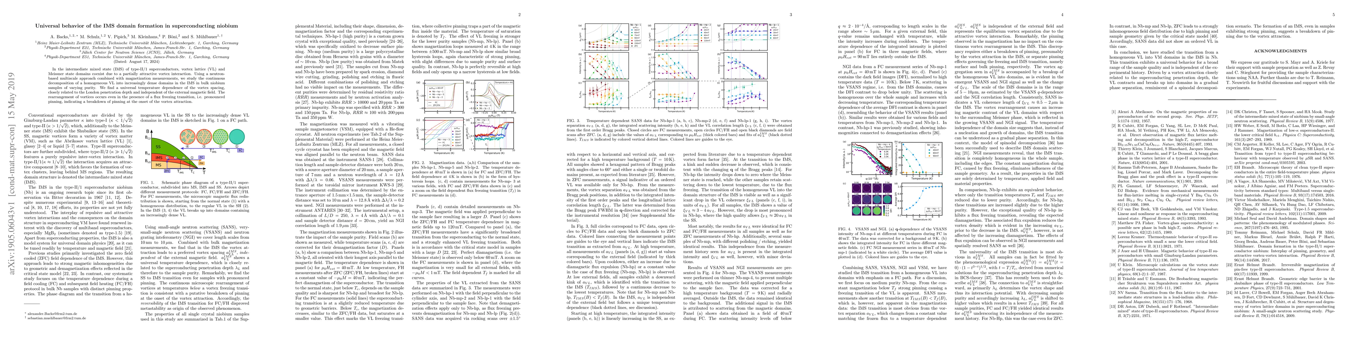 Thumbnail for Universal behavior of the IMS domain formation in superconducting
  niobium