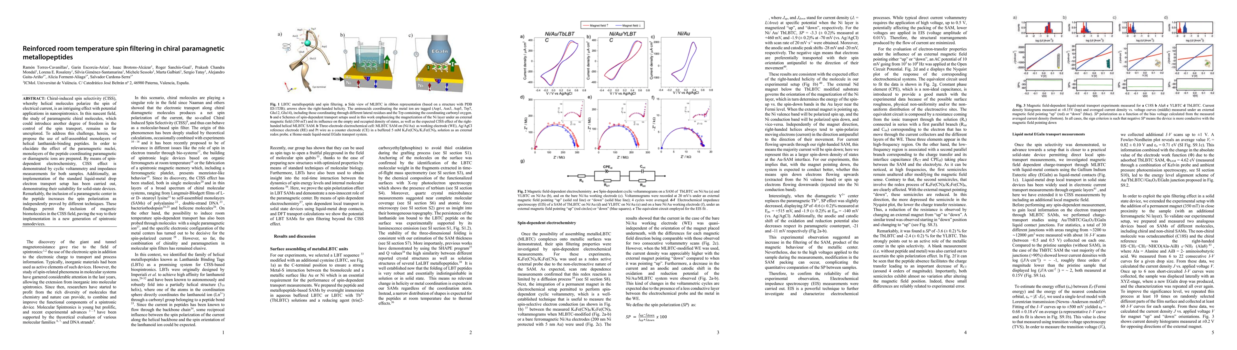 Thumbnail for Reinforced Room temperature spin filtering in chiral paramagnetic
  metallopeptides