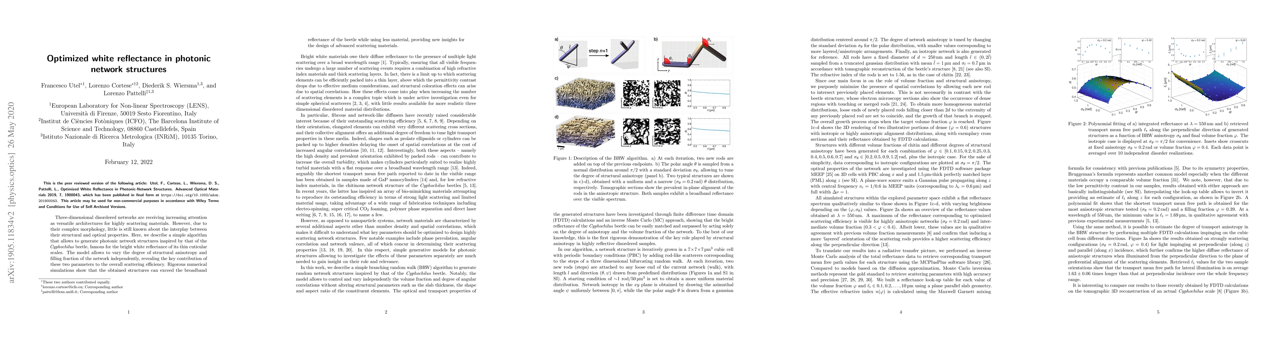 Thumbnail for Optimized White Reflectance in Photonic Network Structures