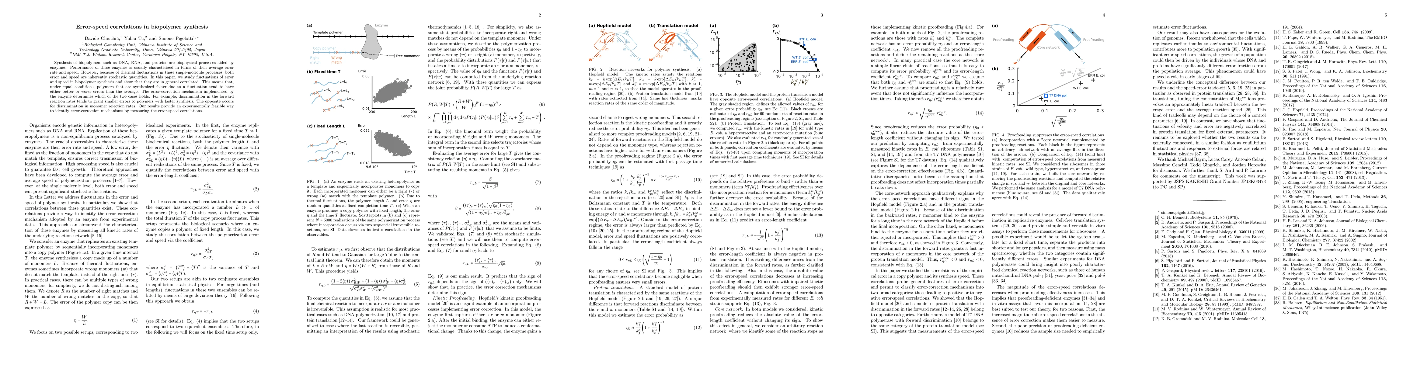 Thumbnail for Error-speed correlations in biopolymer synthesis