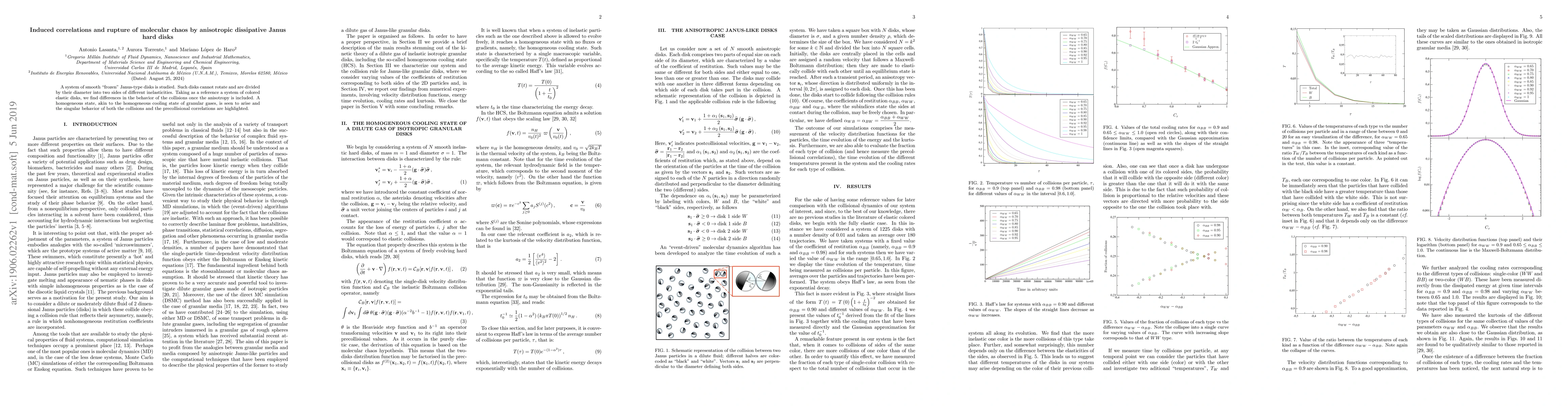 Thumbnail for Induced correlations and rupture of molecular chaos by anisotropic
  dissipative Janus hard disks