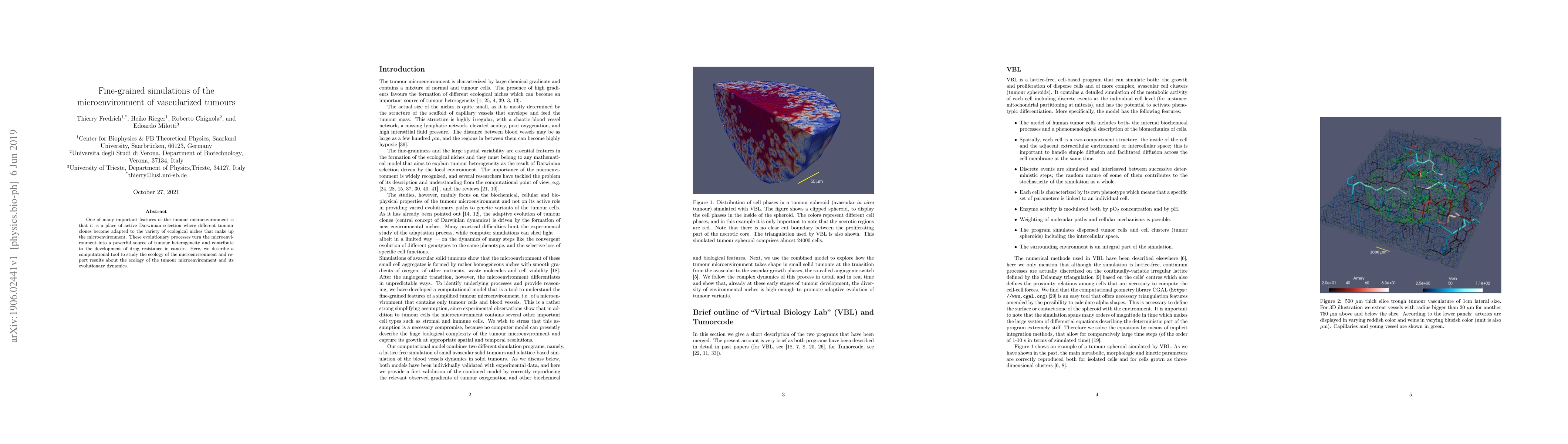 Thumbnail for Fine-grained simulations of the microenvironment of vascularized tumours