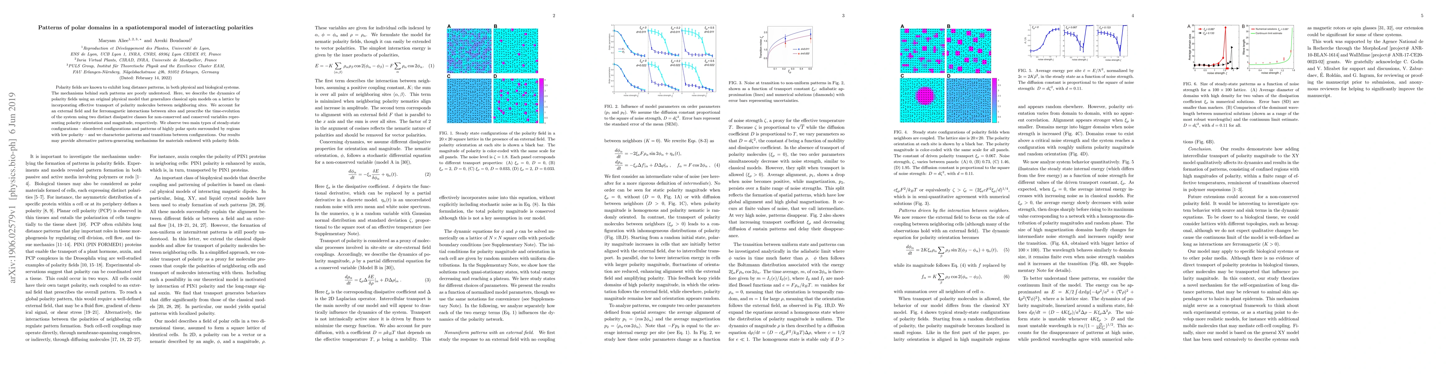 Thumbnail for Patterns of polar domains in a spatiotemporal model of interacting
  polarities