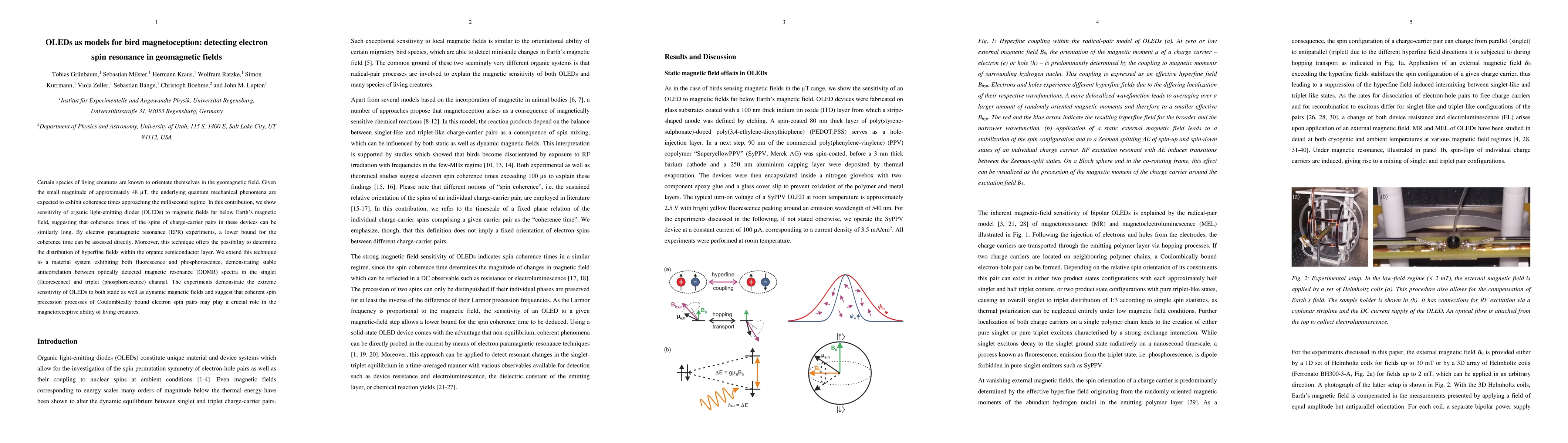 Thumbnail for OLEDs as models for bird magnetoception: detecting electron spin
  resonance in geomagnetic fields