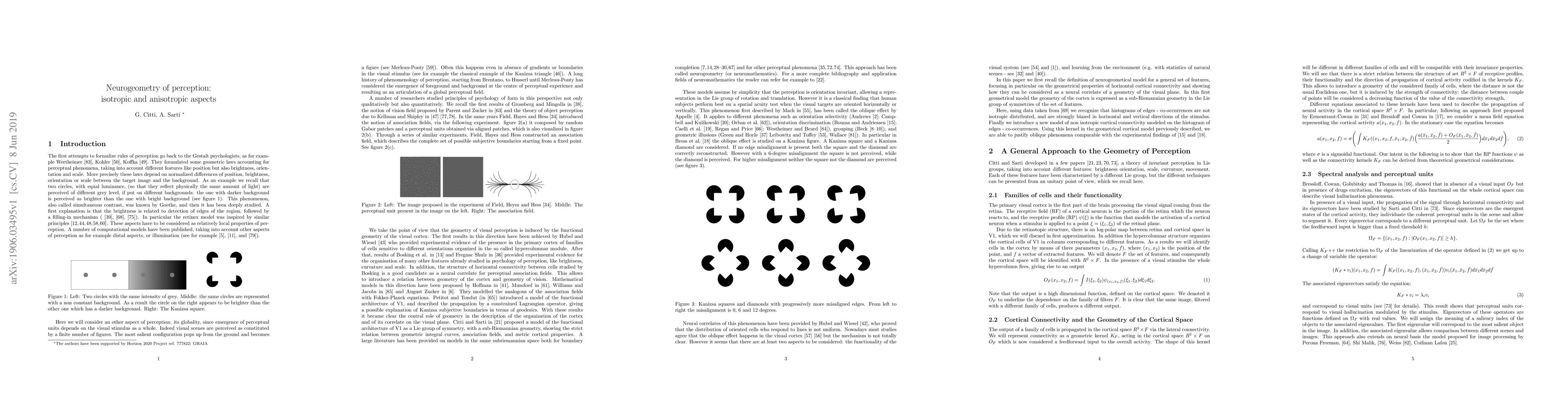 Thumbnail for Neurogeometry of perception: isotropic and anisotropic aspects
