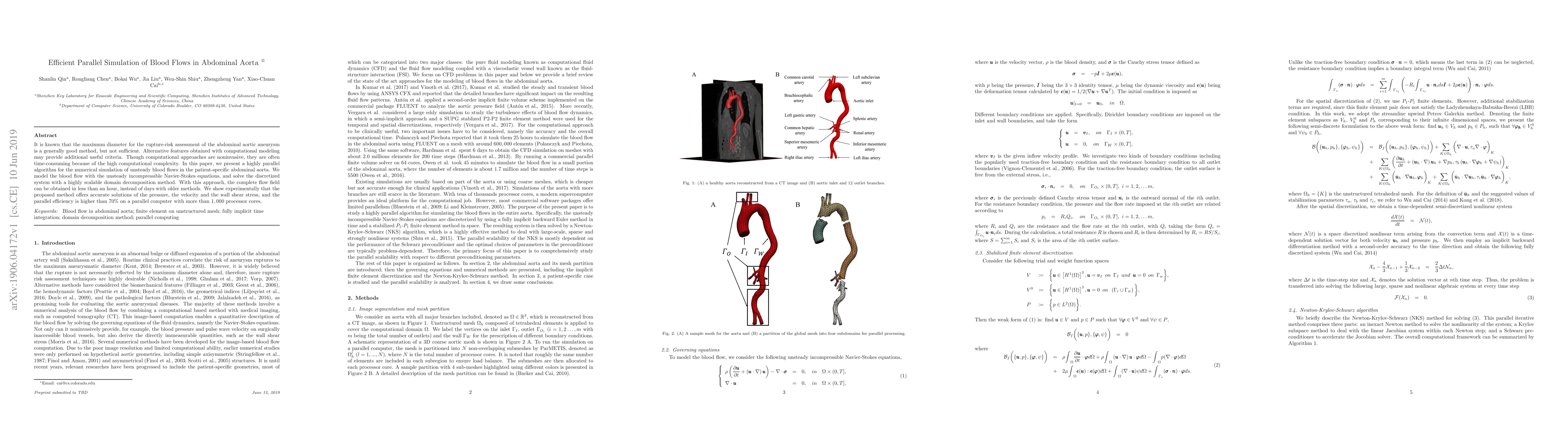 Thumbnail for Efficient Parallel Simulation of Blood Flows in Abdominal Aorta