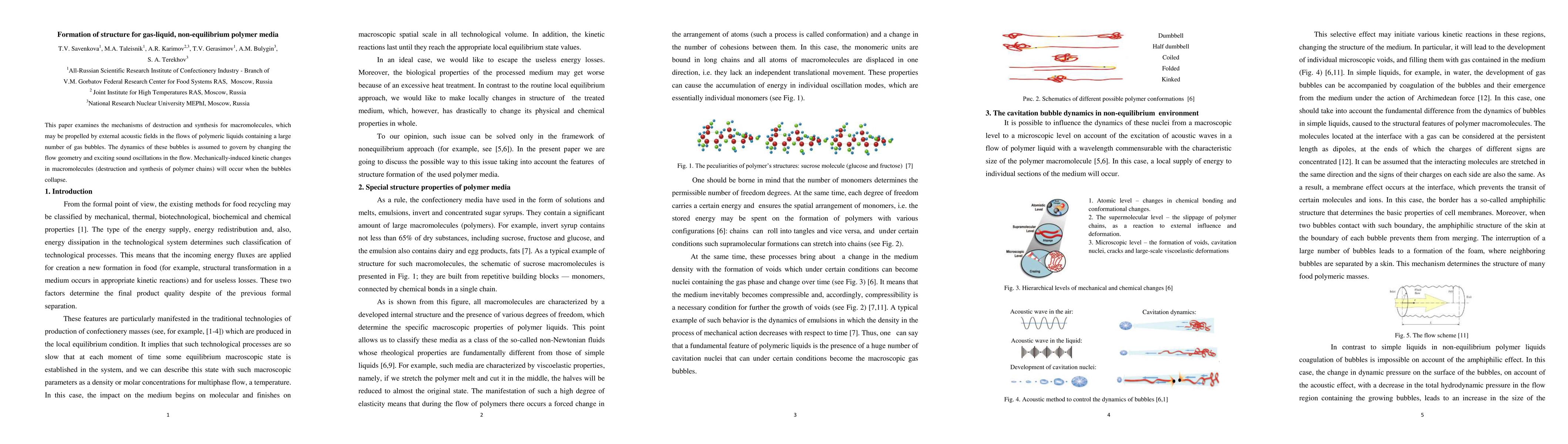 Thumbnail for Formation of structure for gas-liquid, non-equilibrium polymer media