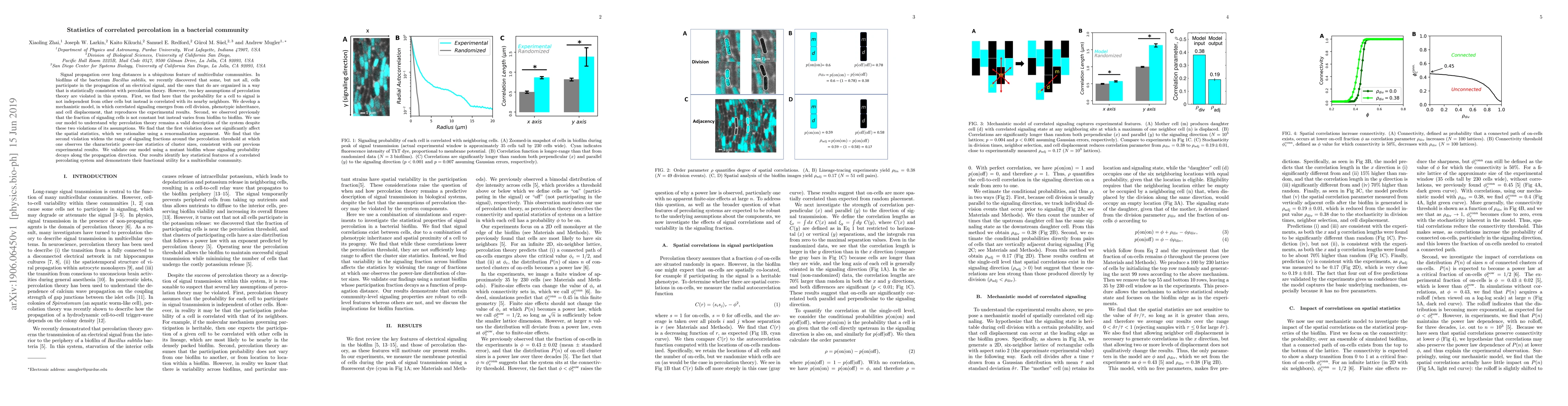 Thumbnail for Statistics of correlated percolation in a bacterial community