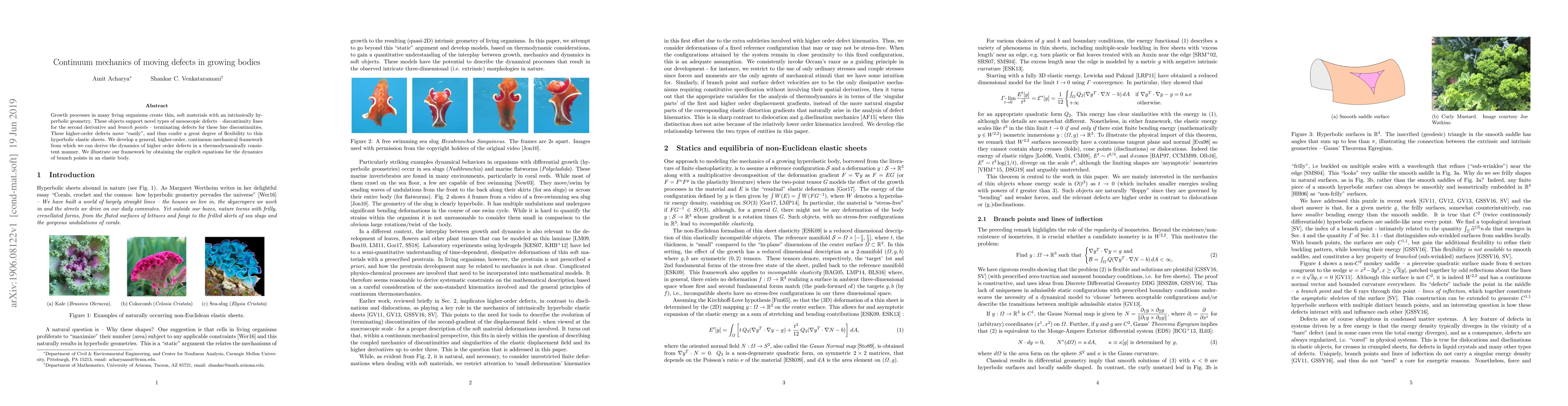 Thumbnail for Continuum mechanics of moving defects in growing bodies