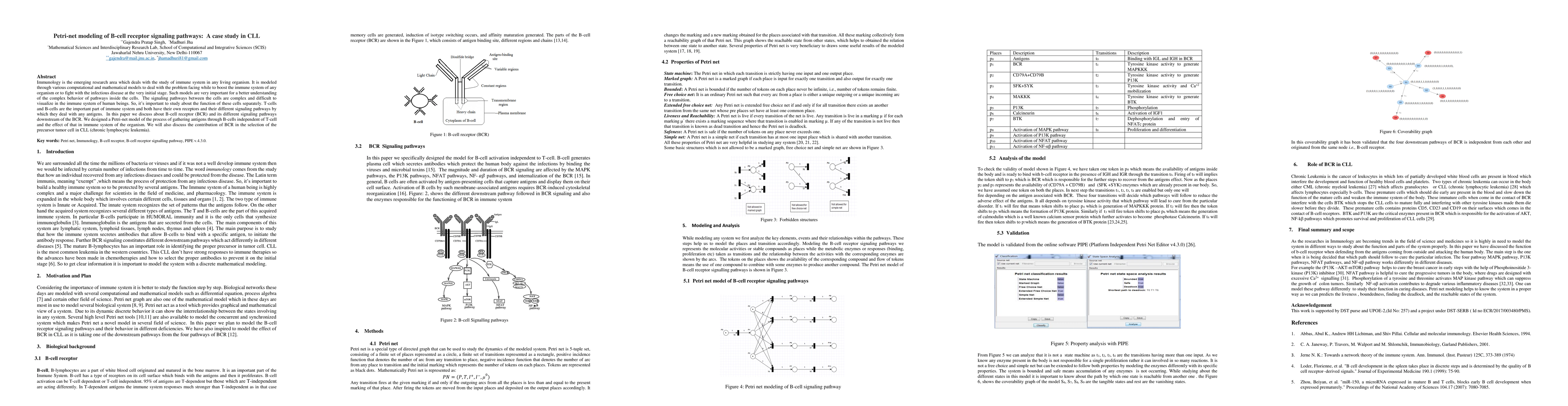 Thumbnail for Petri-net modeling of B-cell receptor signaling pathways: A case study
  in CLL