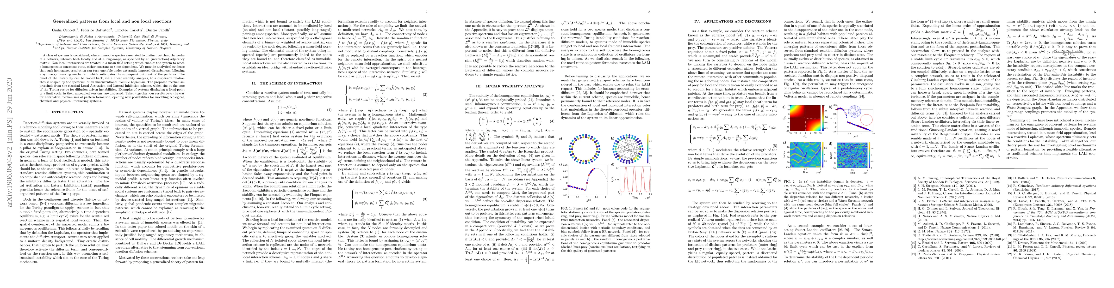 Thumbnail for Generalized patterns from local and non local reactions