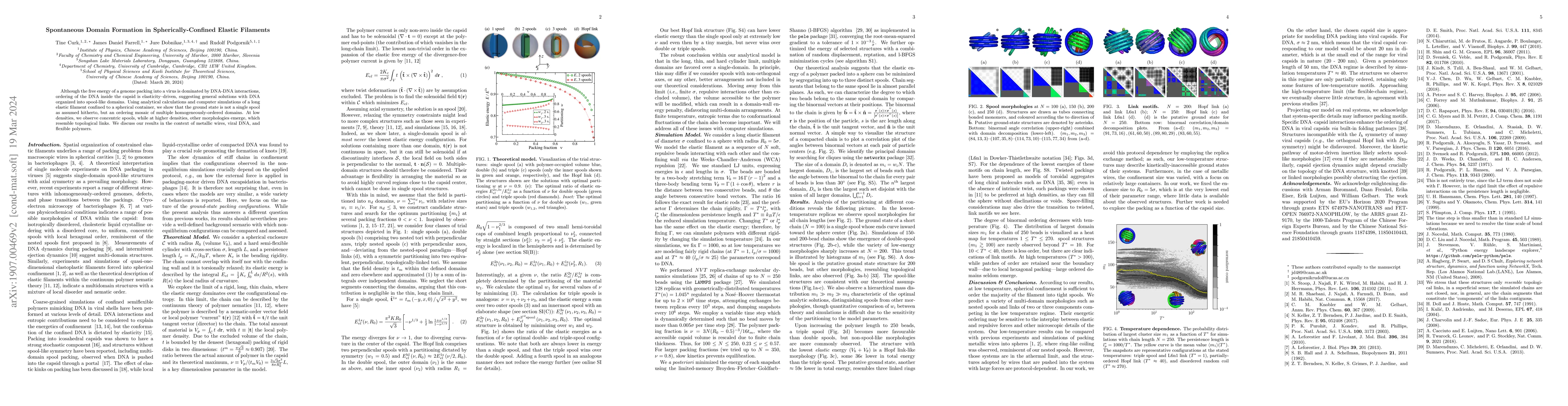 Thumbnail for Spontaneous Domain Formation in Spherically-Confined Elastic Filaments