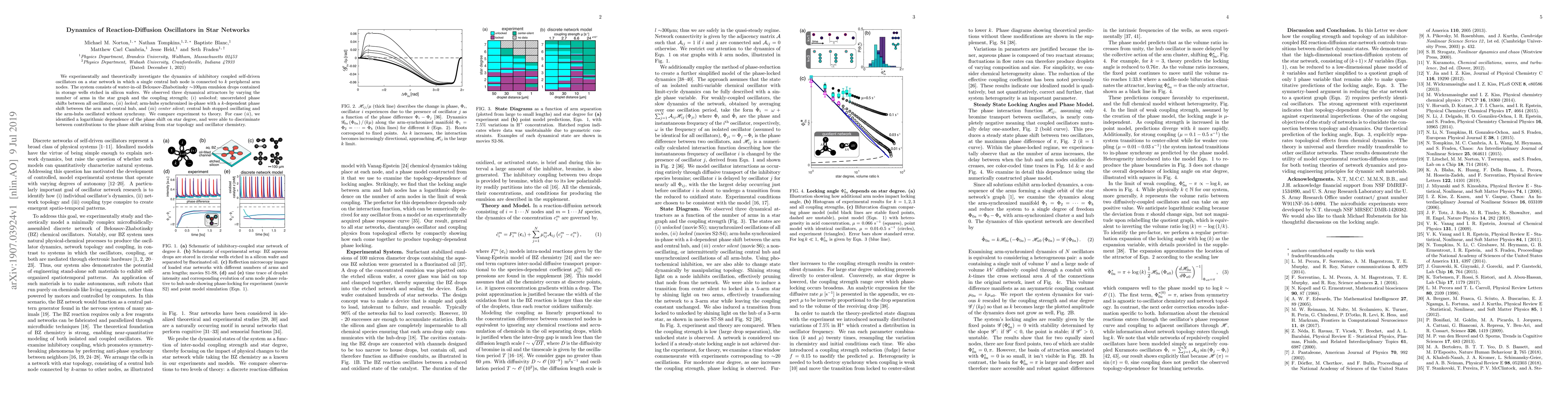 Thumbnail for Dynamics of Reaction-Diffusion Oscillators in Star Networks