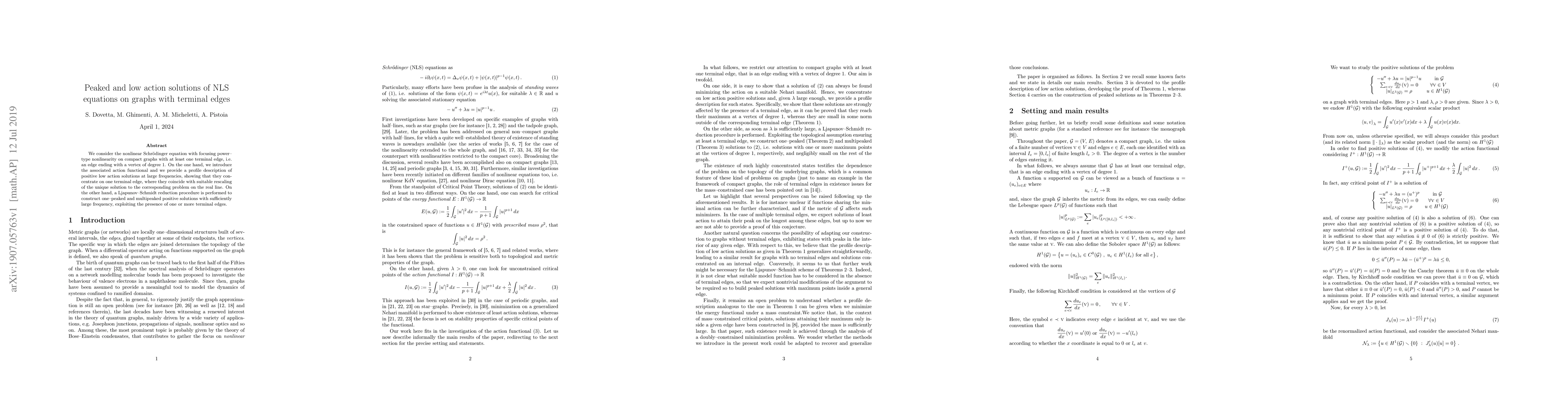 Thumbnail for Peaked and low action solutions of NLS equations on graphs with terminal
  edges