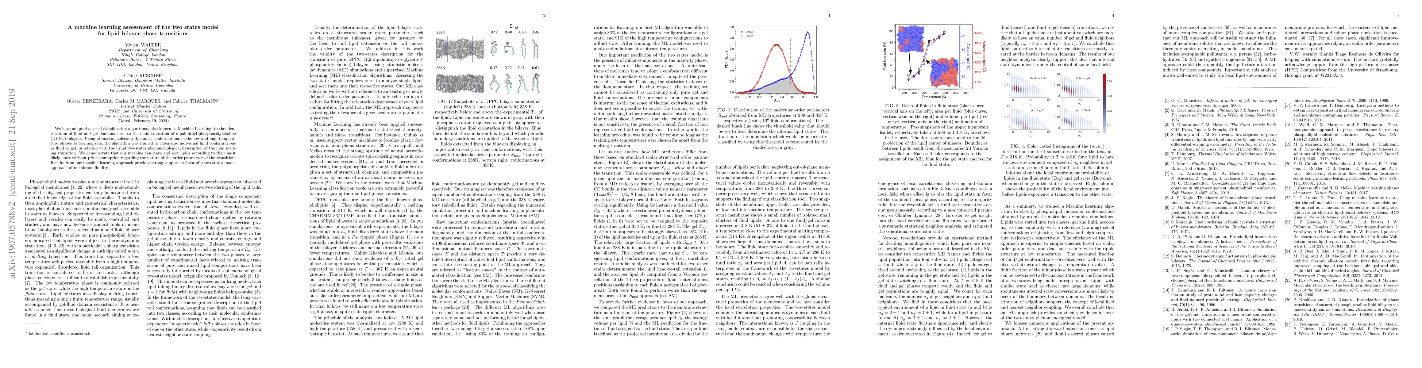 Thumbnail for A machine learning assessment of the two states model for lipid bilayer
  phase transitions