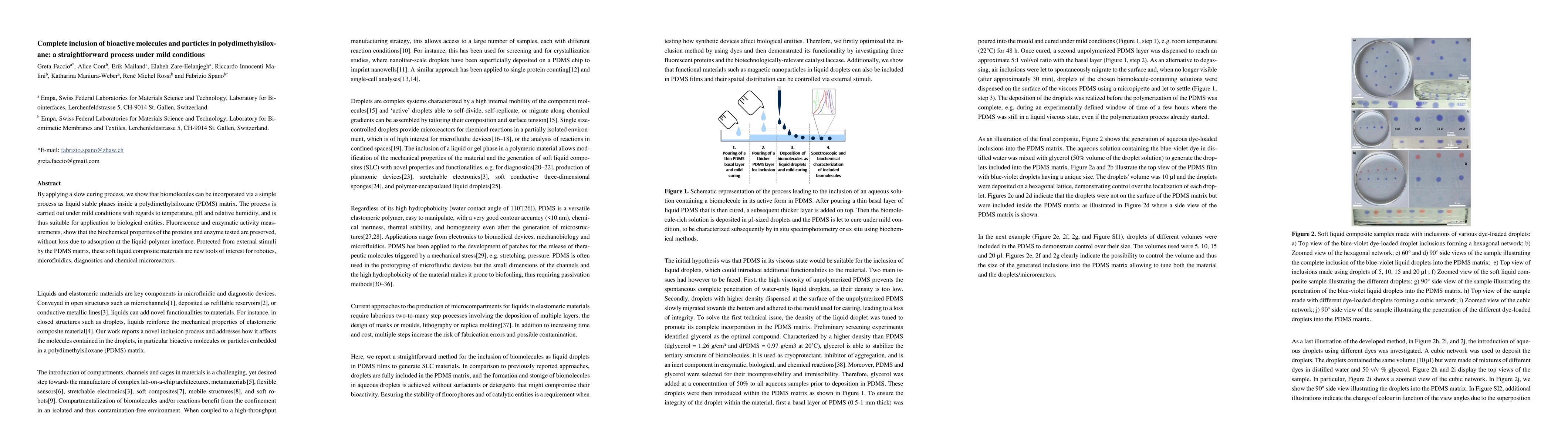 Thumbnail for Complete inclusion of bioactive molecules and particles in
  polydime-thylsiloxane: a straightforward process under mild conditions