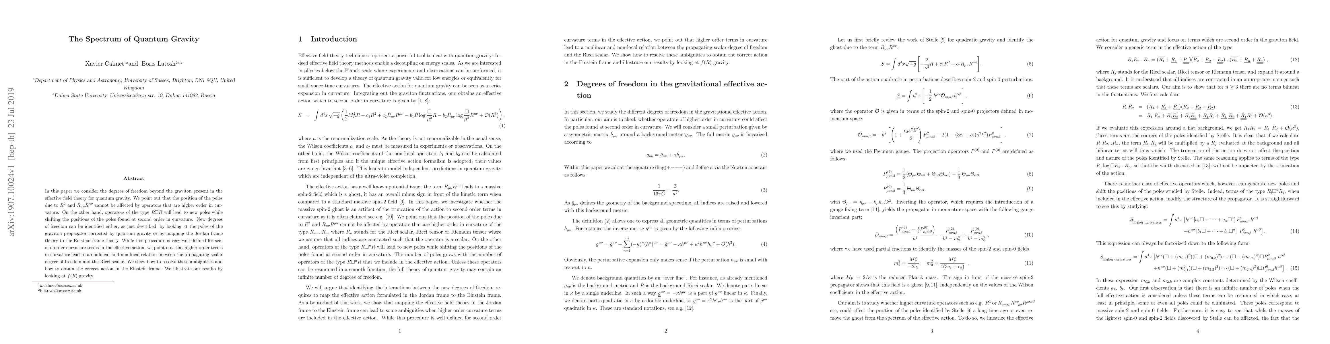 Thumbnail for The Spectrum of Quantum Gravity