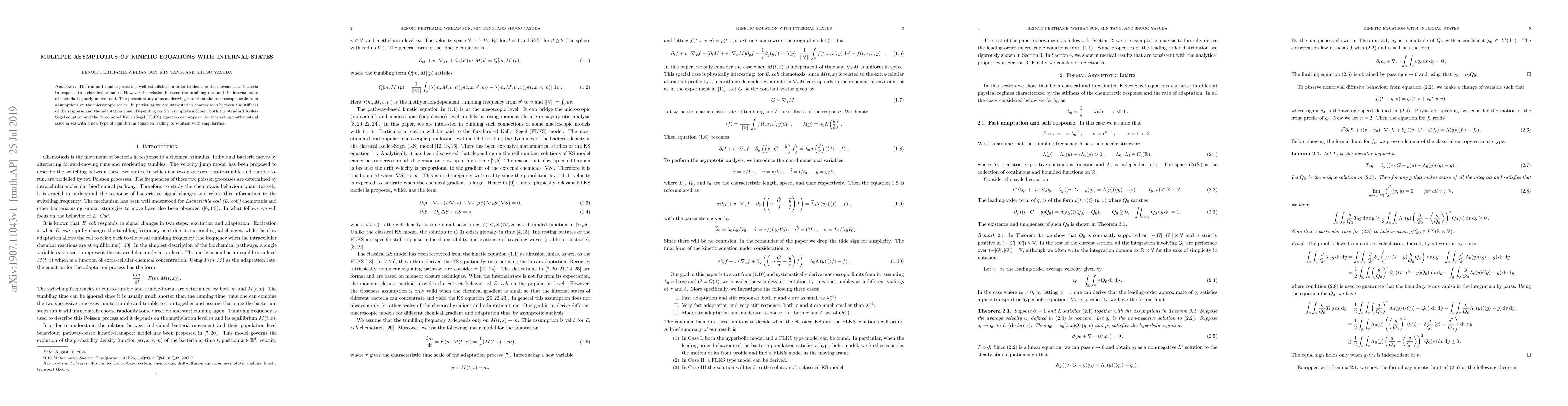 Thumbnail for Multiple asymptotics of Kinetic Equations with Internal States