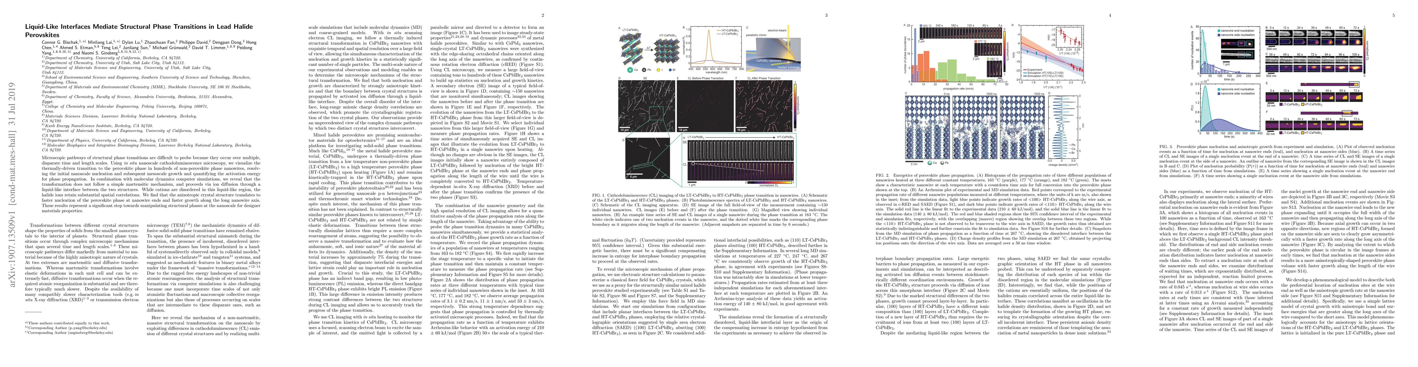 Thumbnail for Liquid-Like Interfaces Mediate Structural Phase Transitions in Lead
  Halide Perovskites