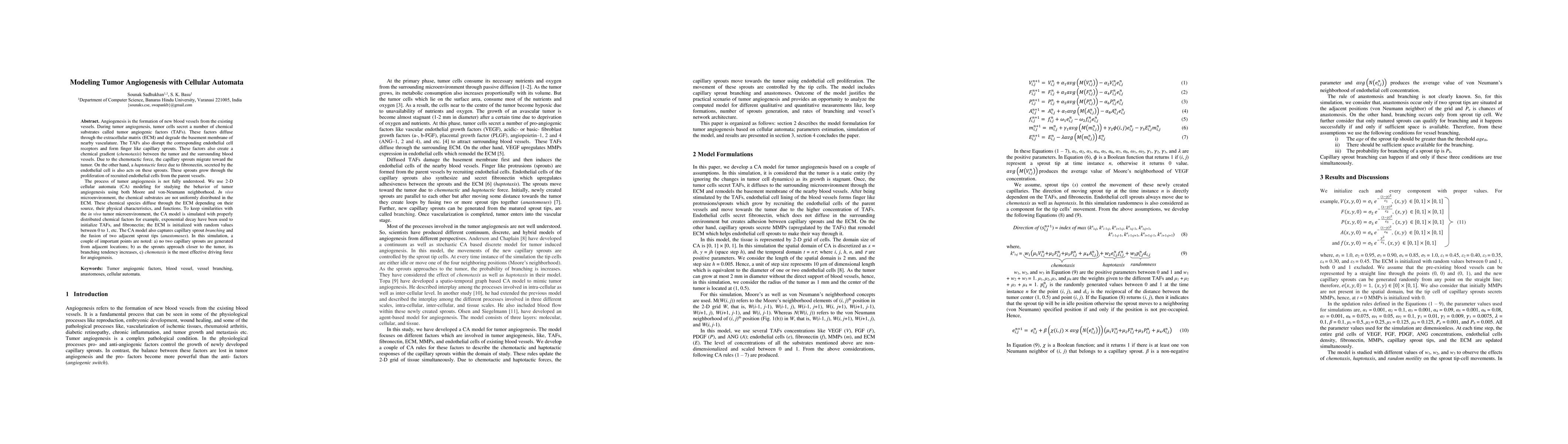 Thumbnail for Modeling Tumor Angiogenesis with Cellular Automata