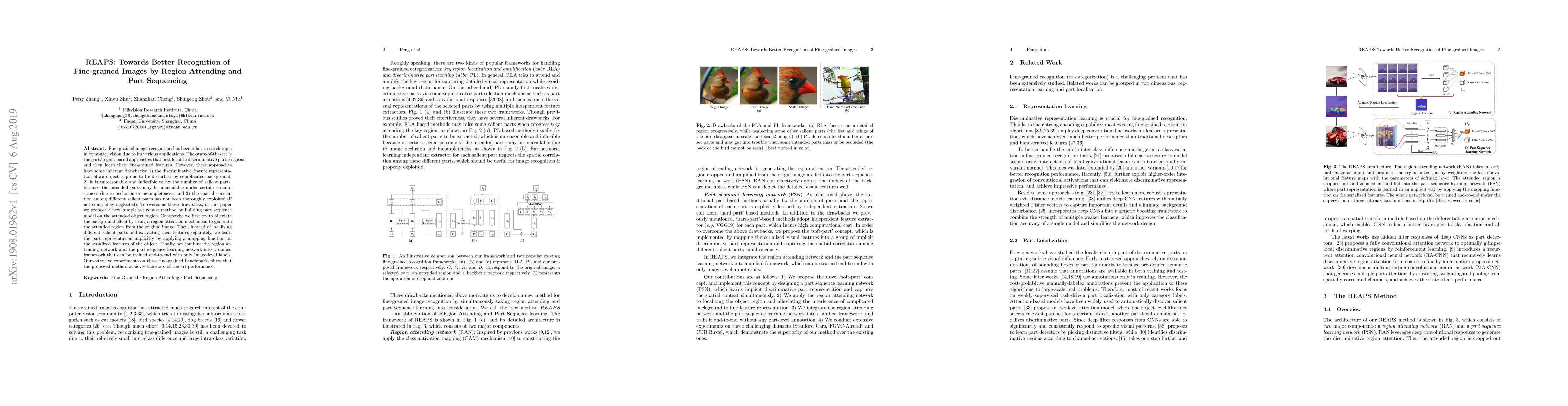 Thumbnail for REAPS: Towards Better Recognition of Fine-grained Images by Region
  Attending and Part Sequencing