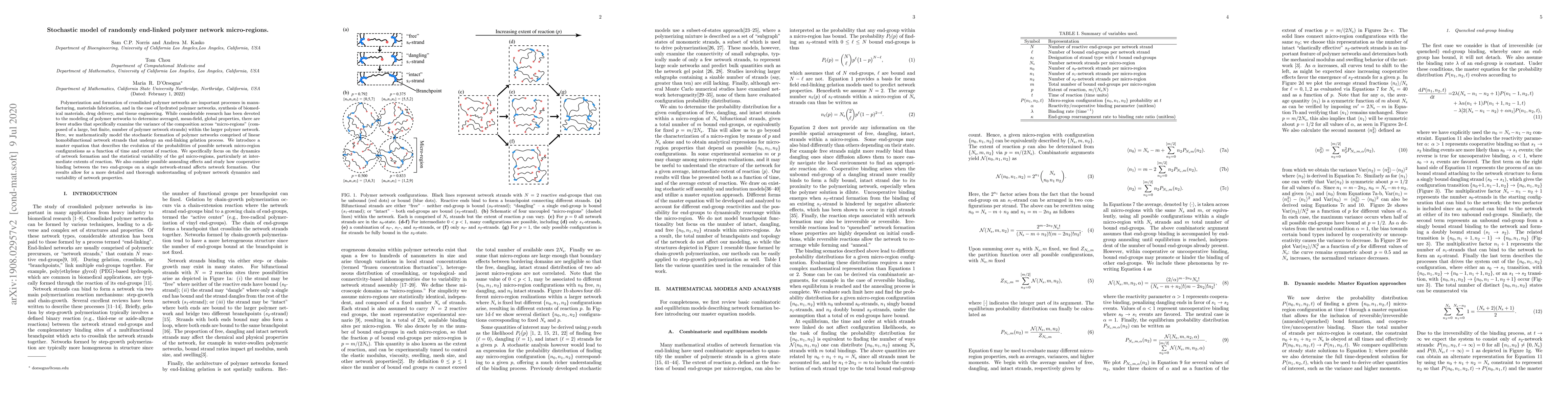 Thumbnail for Stochastic model of randomly end-linked polymer network micro-regions