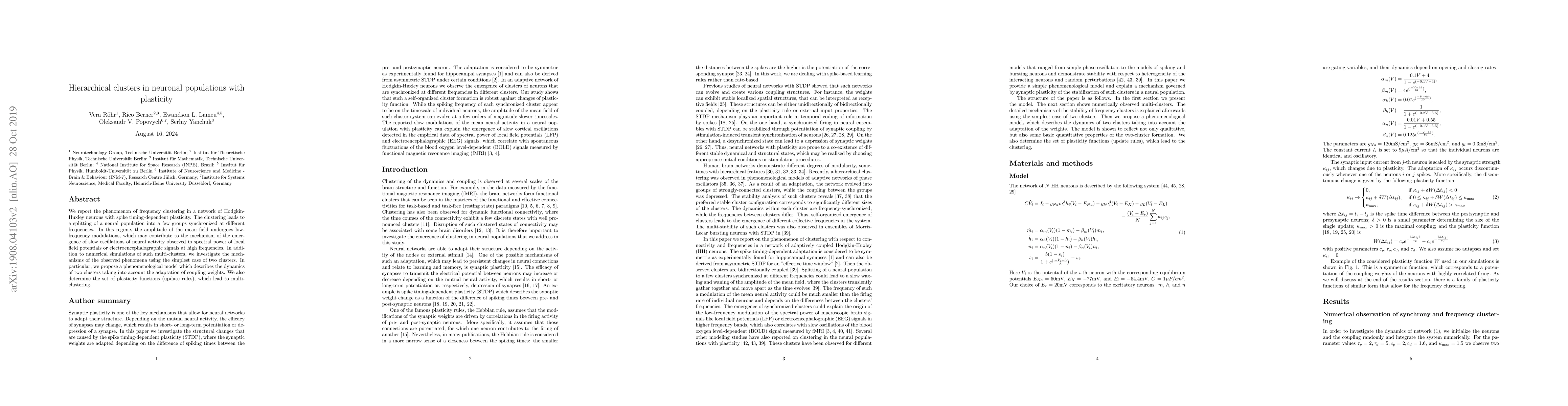 Thumbnail for Hierarchical clusters in neuronal populations with plasticity