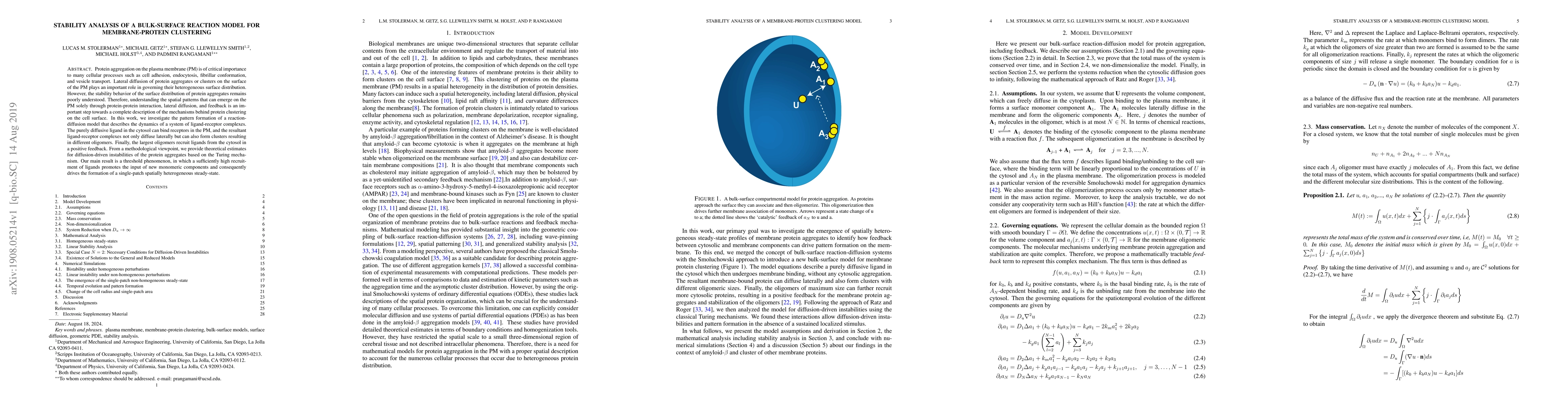 Thumbnail for Stability Analysis of a Bulk-Surface Reaction Model for Membrane-Protein
  Clustering